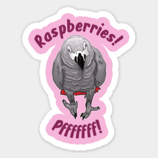 African grey Einstein parrot "Raspberries" Sticker