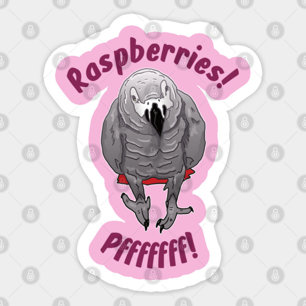 African grey Einstein parrot "Raspberries" Sticker by Einstein Parrot