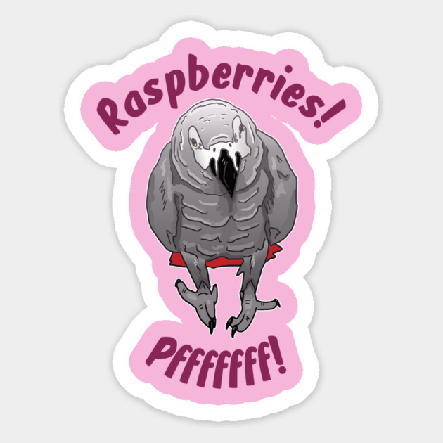 African grey Einstein parrot "Raspberries" Magnet by Einstein Parrot