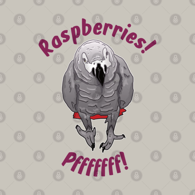 African grey Einstein parrot "Raspberries" by Einstein Parrot