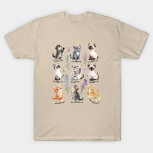 Subtle Anti Trump Kitten, Funny Sacarstic Cat M2312 T-Shirt