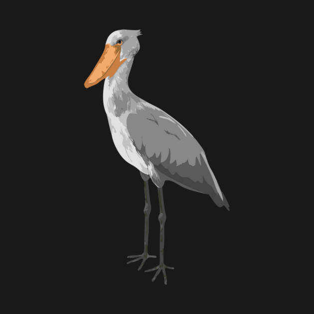 Shoebill Dino Bird by DonWillisJrArt