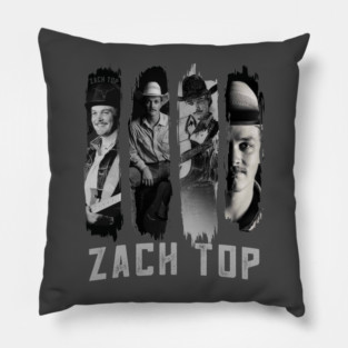 Zach Top Brushstroke Pillow