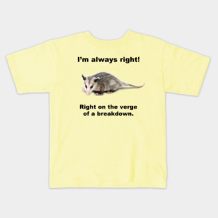 I'm always right! Kids T-Shirt