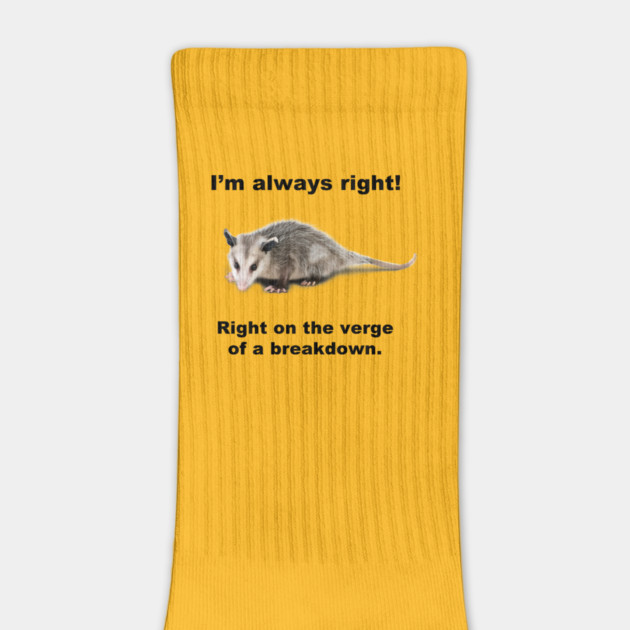 I'm always right! by Therapy's Store