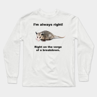 I'm always right! Long Sleeve T-Shirt