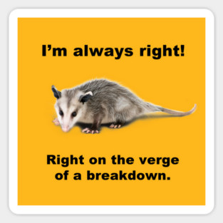 I'm always right! Magnet