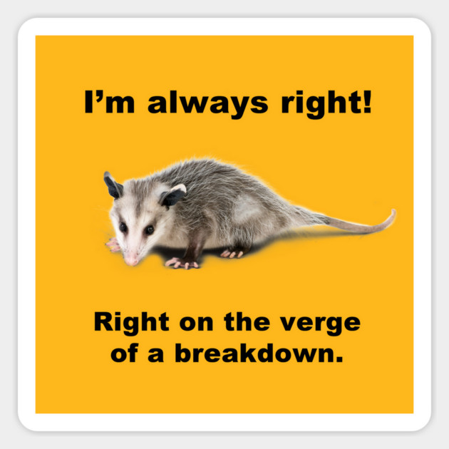 I'm always right! Magnet by Therapy's Store