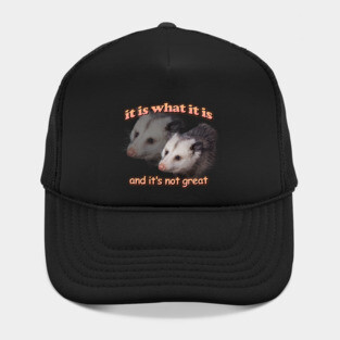 it is what it is... and it's not great possum meme Hat