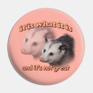 it is what it is... and it's not great possum meme Pin