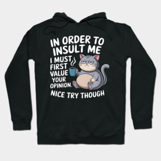 Insult Me? I Don't Value Your Opinion Hoodie
