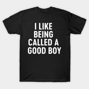I Like Being Called A Good Boy T-Shirt