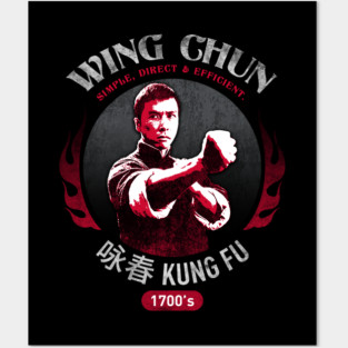 IP Man D01B Posters and Art