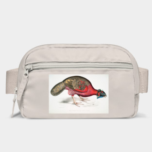 Bengal Horned Pheasant. John Edward Gray Bag