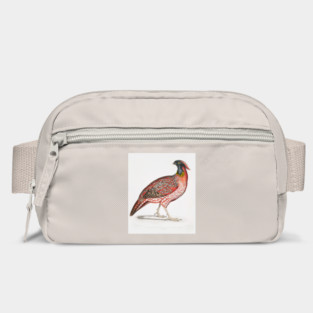 Chinese Horned Pheasant. John Edward Gray Bag