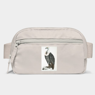 White Backed Vulture. John Edward Gray Bag