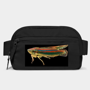 Stunning Macro Photography. Bag