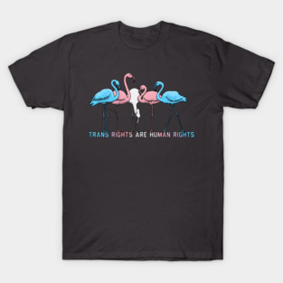 Trans Rights Are Human Rights T-Shirt