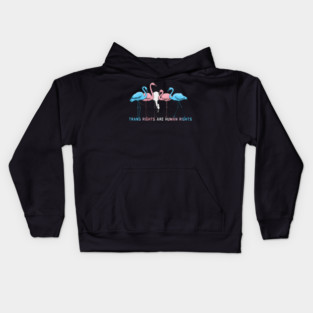 Trans Rights Are Human Rights Kids Hoodie