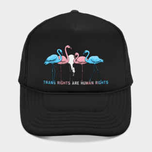 Trans Rights Are Human Rights Hat