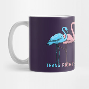 Trans Rights Are Human Rights Mug