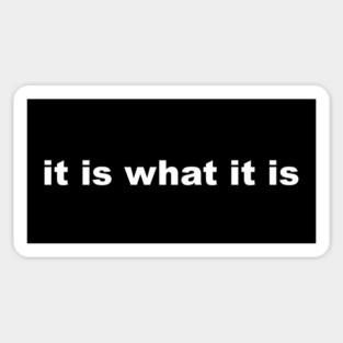 it is what it is Magnet