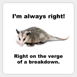 I'M ALWAYS RIGHT! Sticker