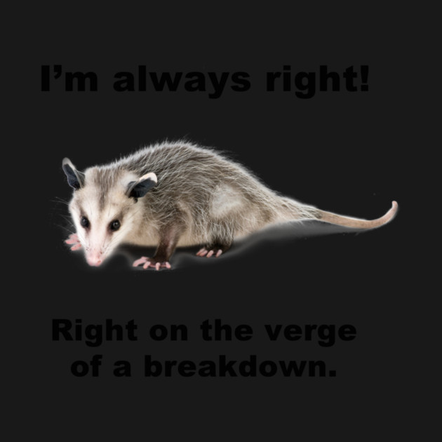 I'M ALWAYS RIGHT! by Psychoanalytic's Store