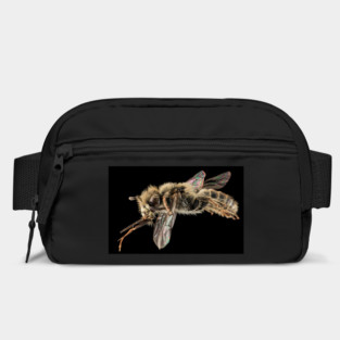 Stunning Macro Photography. Bag