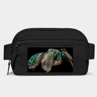 Stunning Macro Photography. Bag