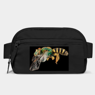 Stunning Macro Photography. Bag