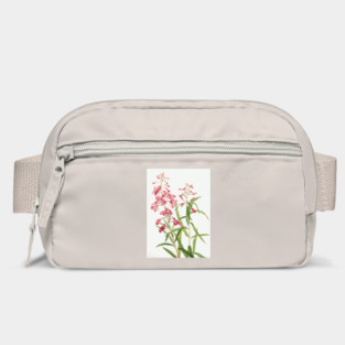 Fireweed By Mary Vaux Walcott. Bag