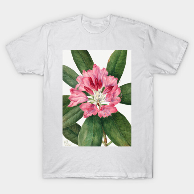 Mountain Rose Bay By Mary Vaux Walcott. T-Shirt by Jeramy's Store 1