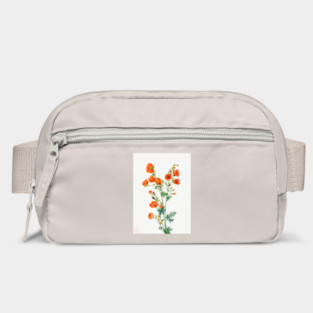 Scarlet Globe Mallow By Mary Vaux Walcott. Bag