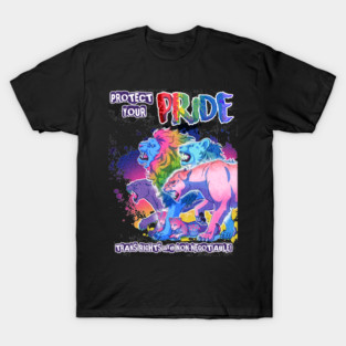 PRIDE-Trans Rights T-Shirt