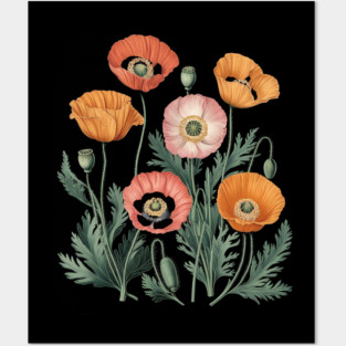 Vintage Botanical Poppy Flower Illustration Posters and Art