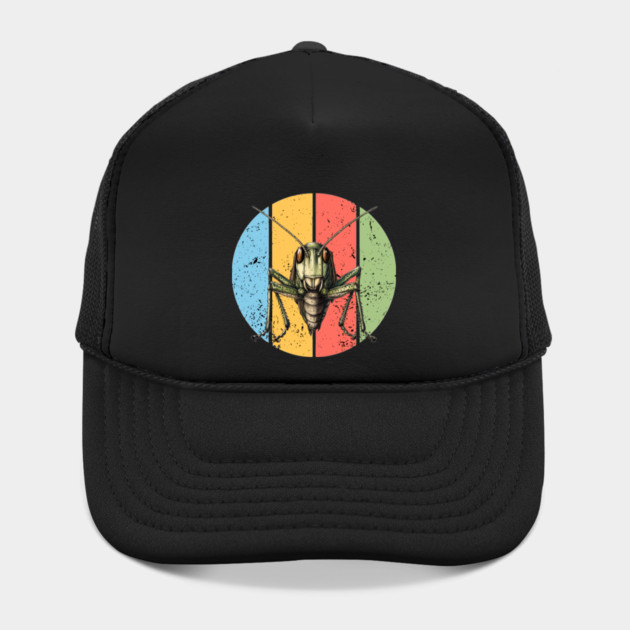 Retro Grunge Grasshopper Pop Art – Distressed Vintage Insect Tee by TuncGK