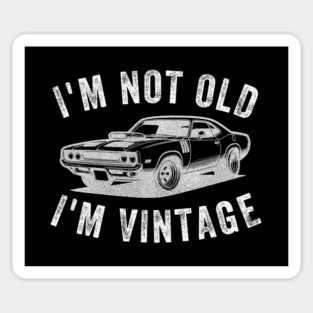 I'm Not Old I'm Vintage Magnet