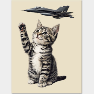 8647 F47 Cat Posters and Art