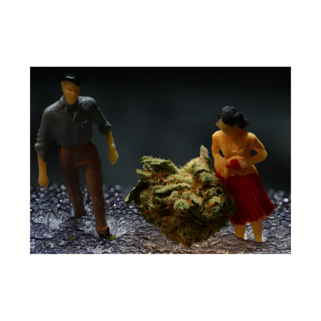 What Do We Have Here - Weed Design by MrGreenGenes420