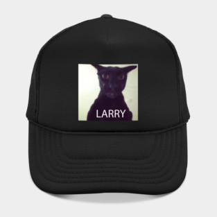 Larry Hat