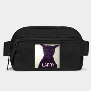 Larry Bag