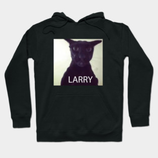 Larry Hoodie