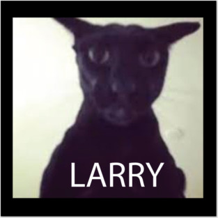Larry Posters and Art