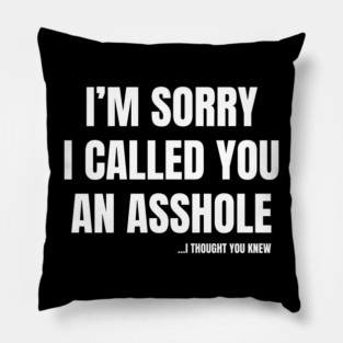 I'm Sorry I Called You An A**hole Pillow