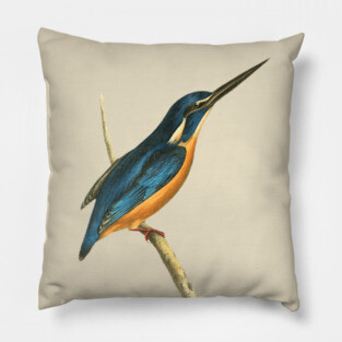 Azure Kingfisher Vintage Bird Illustration by William Swainson Pillow