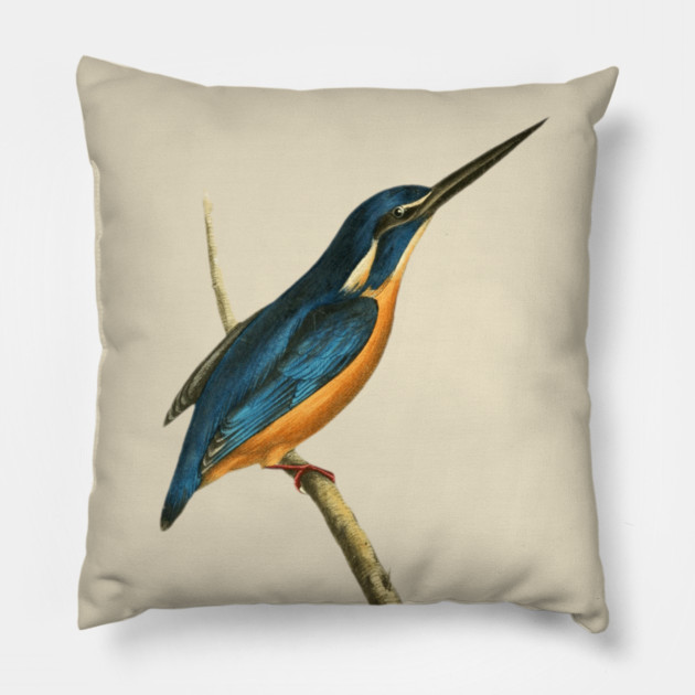 Azure Kingfisher Vintage Bird Illustration by William Swainson Pillow by TuncGK