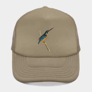 Azure Kingfisher Vintage Bird Illustration by William Swainson Hat