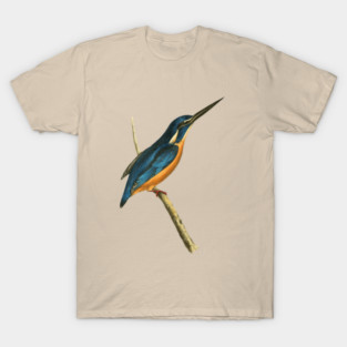 Azure Kingfisher Vintage Bird Illustration by William Swainson T-Shirt