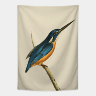Azure Kingfisher Vintage Bird Illustration by William Swainson Tapestry